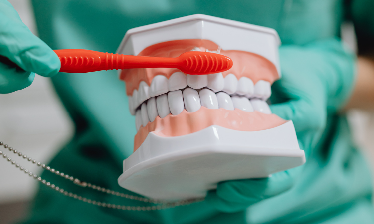 While it might seem like a minor inconvenience, bleeding gums are often a symptom of an underlying issue that should not be ignored.